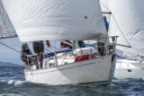 marisca gbr9884t whyw25 sun 750_3666